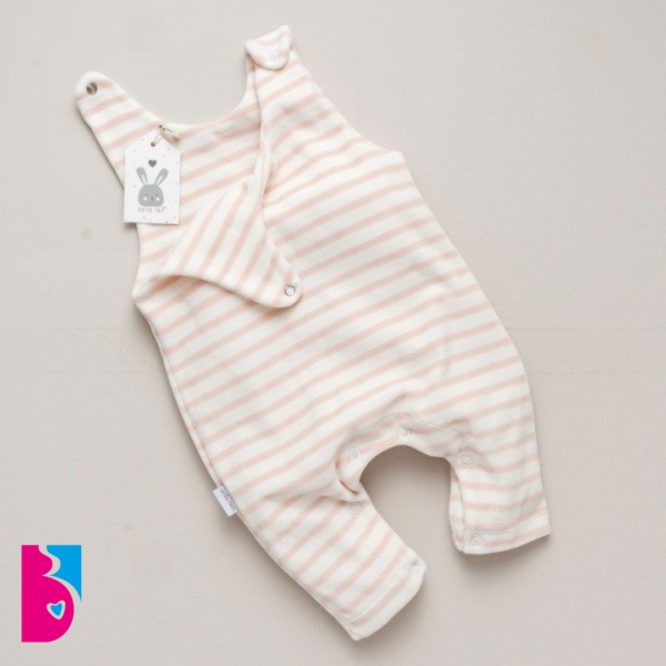 Chinito Plush RAYITAS ROSAS