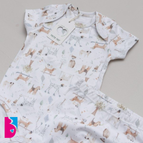 Conjunto GAEL - Imagen 2