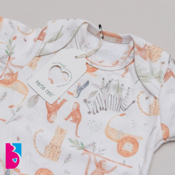 Conjunto SIMON - Imagen 3
