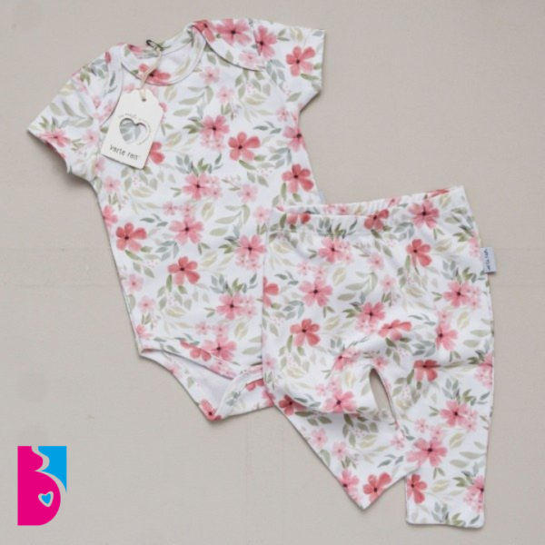 Conjunto ISABEL