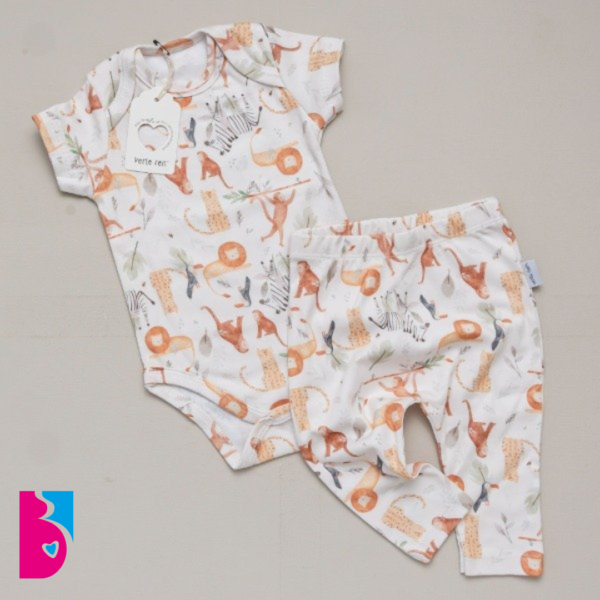 Conjunto SIMON