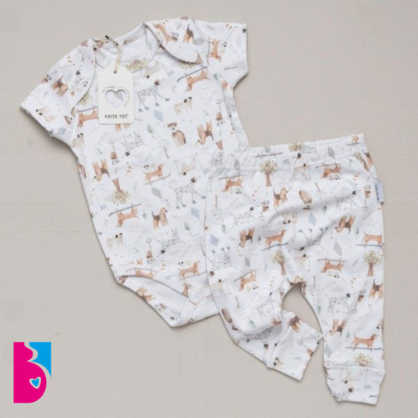 Conjunto GAEL