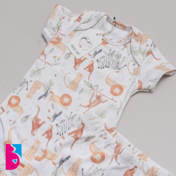 Conjunto SIMON - Imagen 2