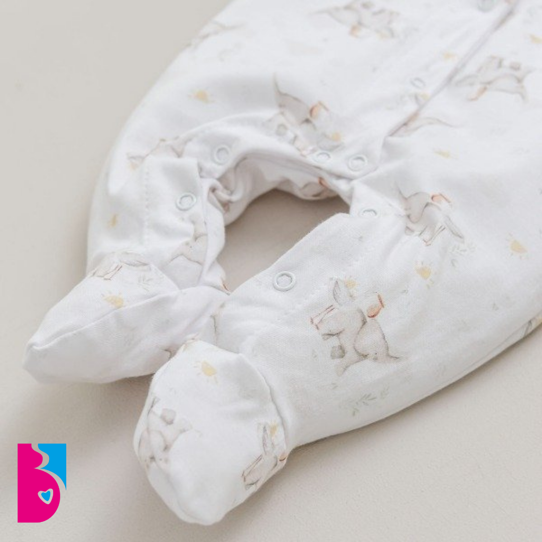 Enterito PARIS - Imagen 2