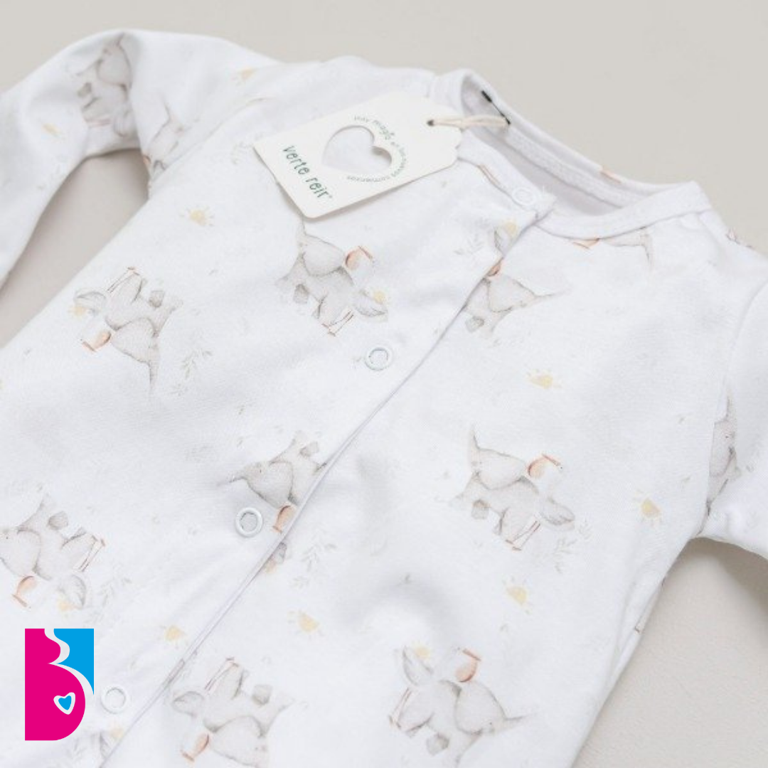 Enterito PARIS - Imagen 3